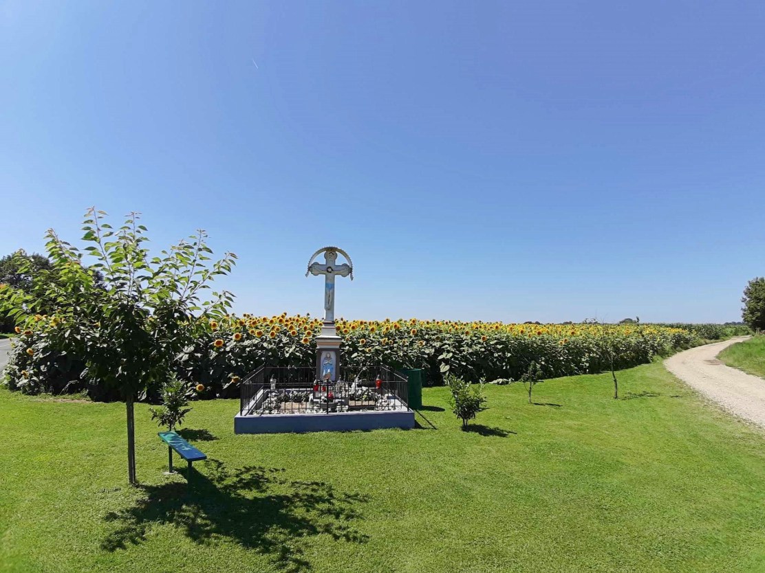 360101455_10219427259710858_183913462415927733_n