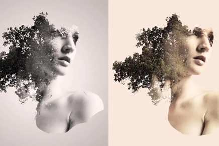 Mirna Weber: Jednine i&nbsp;cjeline