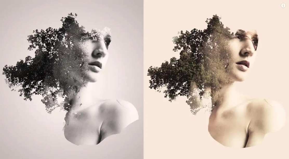 363345676_7123522204344042_6284585808875708745_n