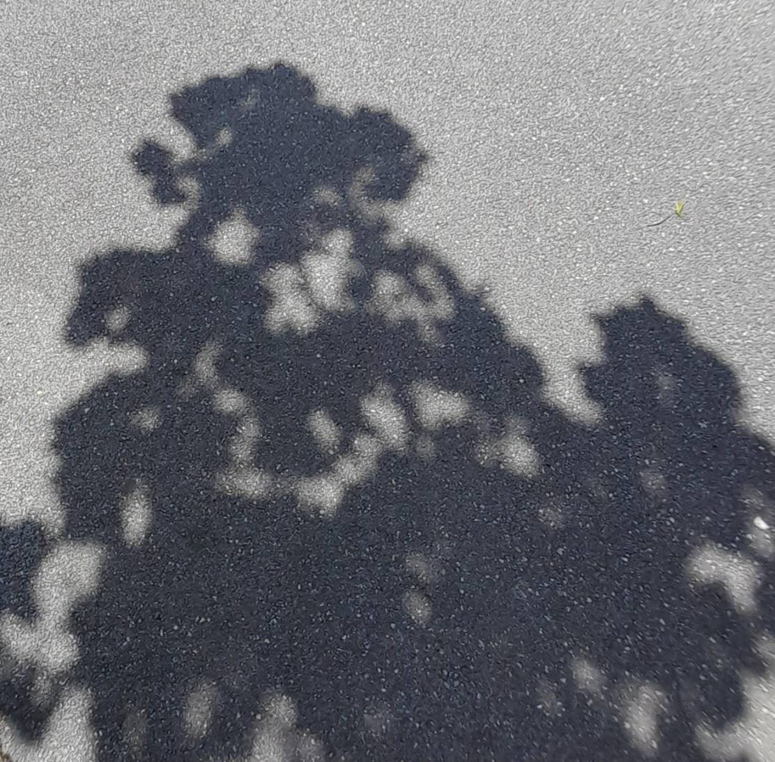 363378034_10230434050063309_9014857273254970059_n