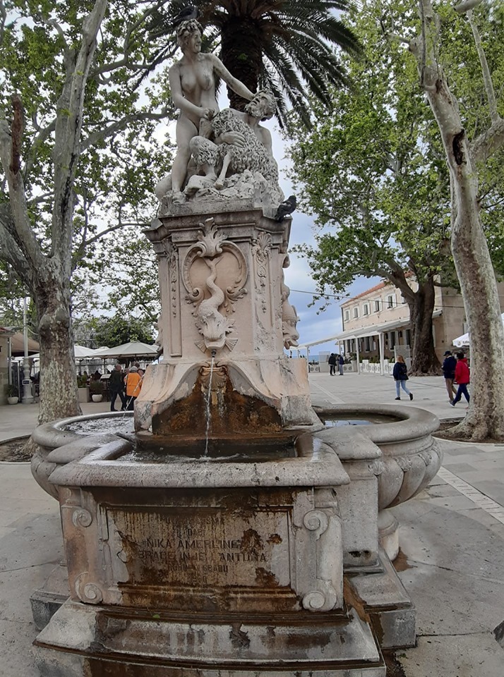 65533513_1411634798975914_4023537603549593600_n