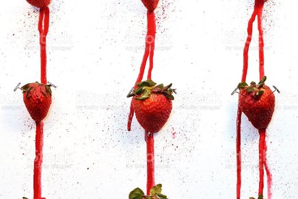 Lena Ruth Stefanović: Damen&nbsp;kapric