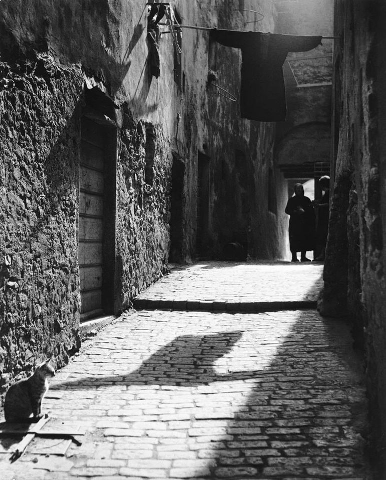 Michael Wolgensinger.