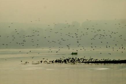 Marko Raguž: BUĐENJE NA OBALI&nbsp;RIJEKE