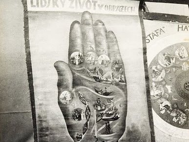 Božica Jelušić: ONA TANANA&nbsp;RAZLIKA…