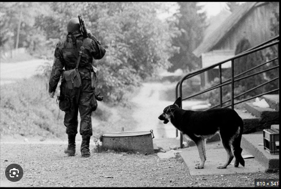 363389956_2027726290959084_2749582951674925709_n