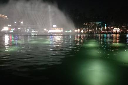 Vida Nenadić: Priča sa pogledom na&nbsp;jezero