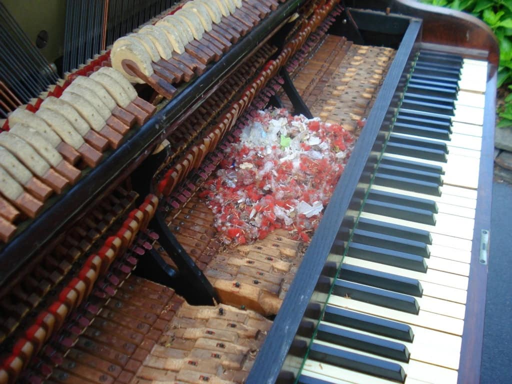 367999874_7195230513839877_7953200674011149978_n