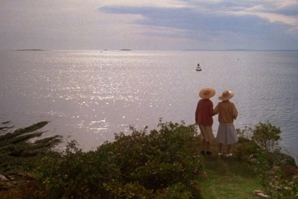 Zdenka Maltar: Kitovi u&nbsp;kolovozu