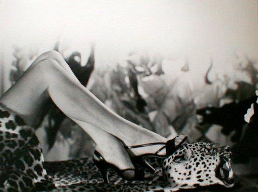 378489_2686631480324_1213924977_n