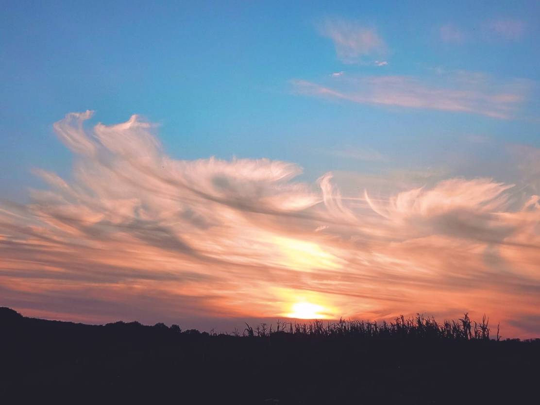 380884713_3469339013316452_8094219639526180040_n