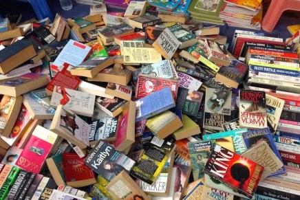 Snježana Novotny: NA AKCIJE 