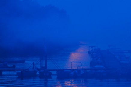 Tomislav Ribić: PLAVA&nbsp;ČKOMINA