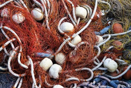 Marina Mijakovska: Tirkiz u ljetu&nbsp;(haiku)