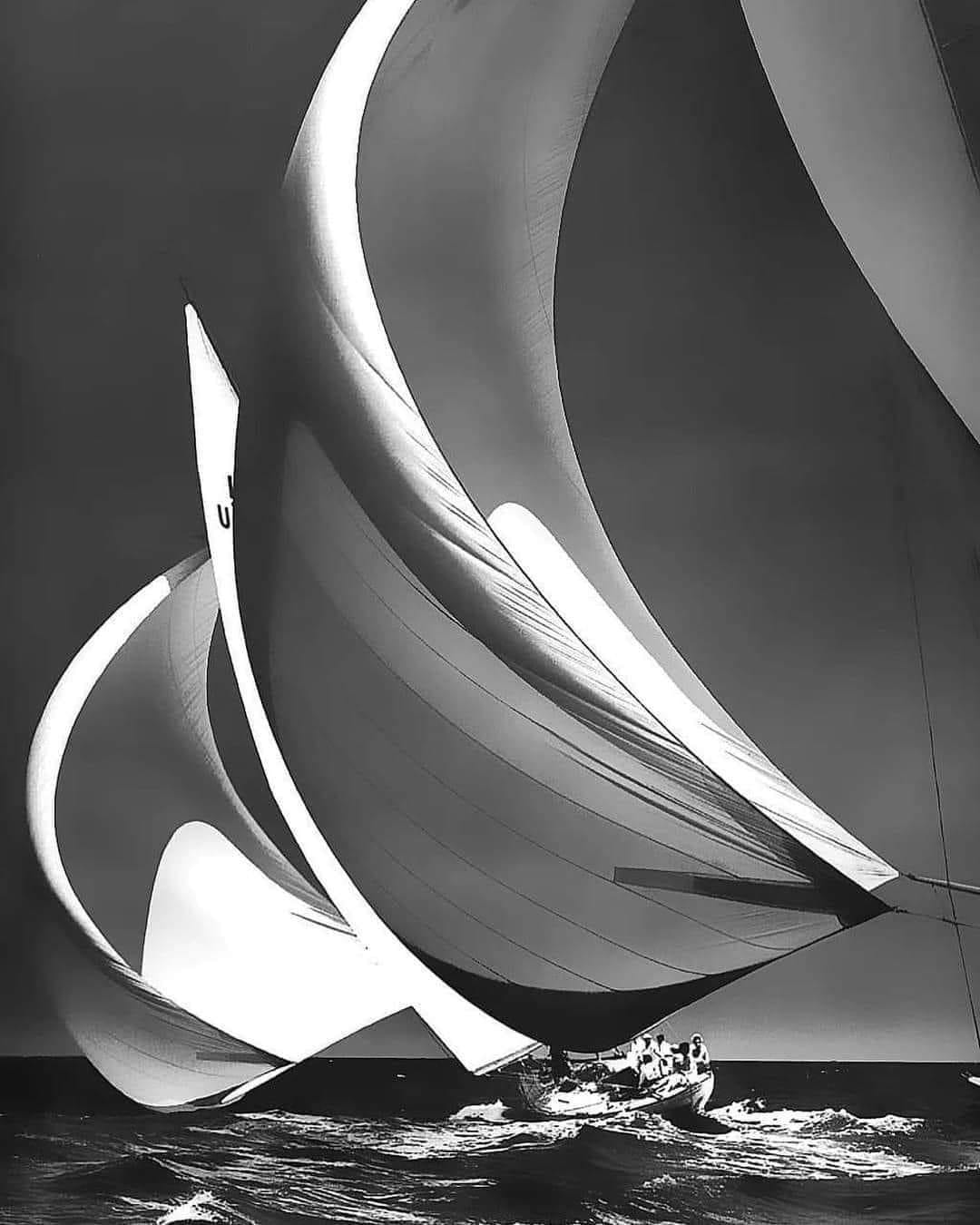 378126482_10225656624936257_2239886516685226934_n