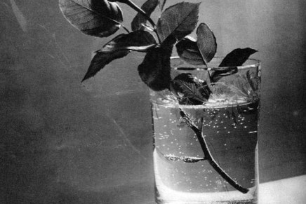 Božica Jelušić: PETO GODIŠNJE DOBA I ZADNJA&nbsp;SLOBODA