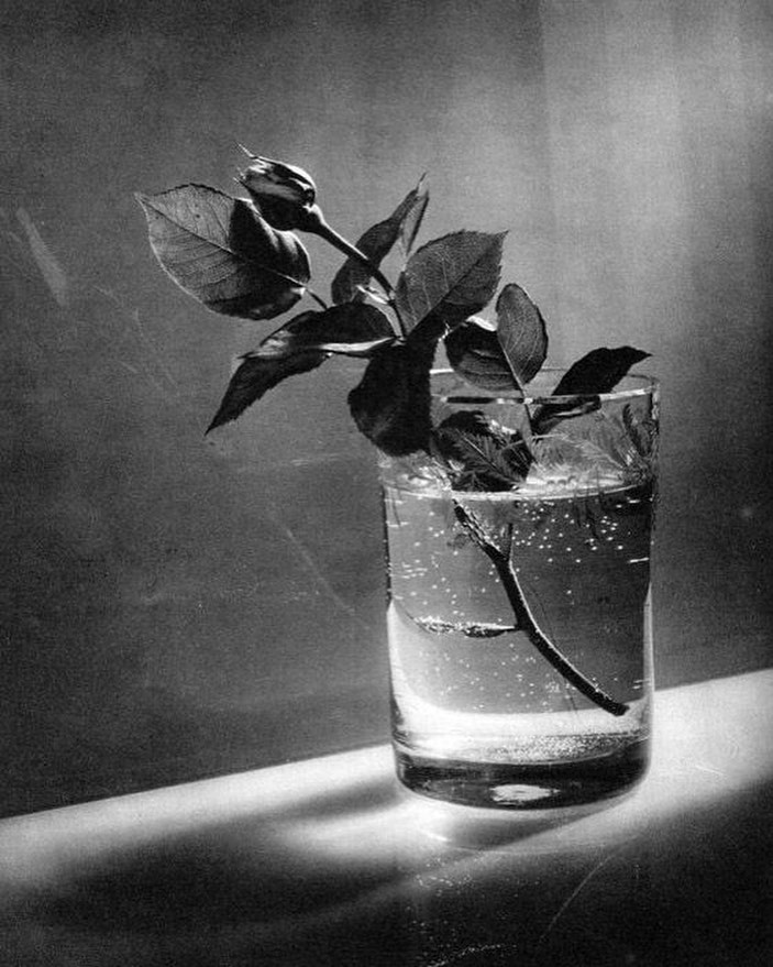 381045086_18044590165515097_6146018832603221138_n