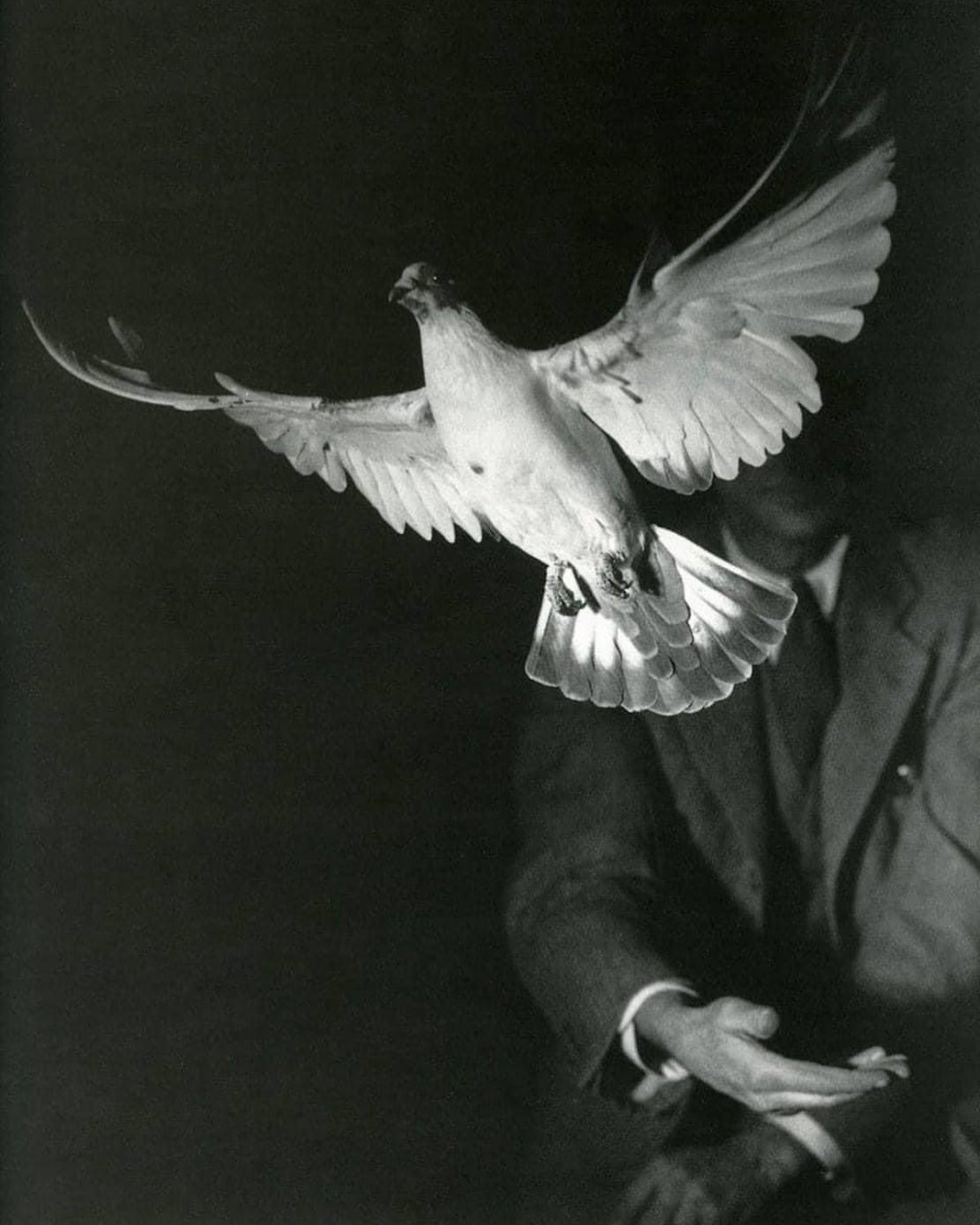 382771783_18044776678515097_6332975595507649504_n