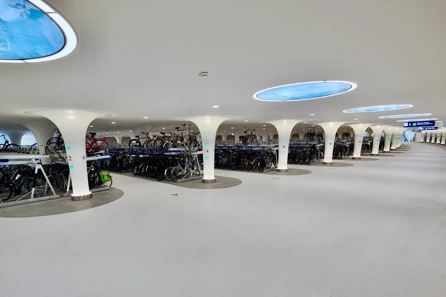 393393116_1785213355250965_6473667869567198911_n