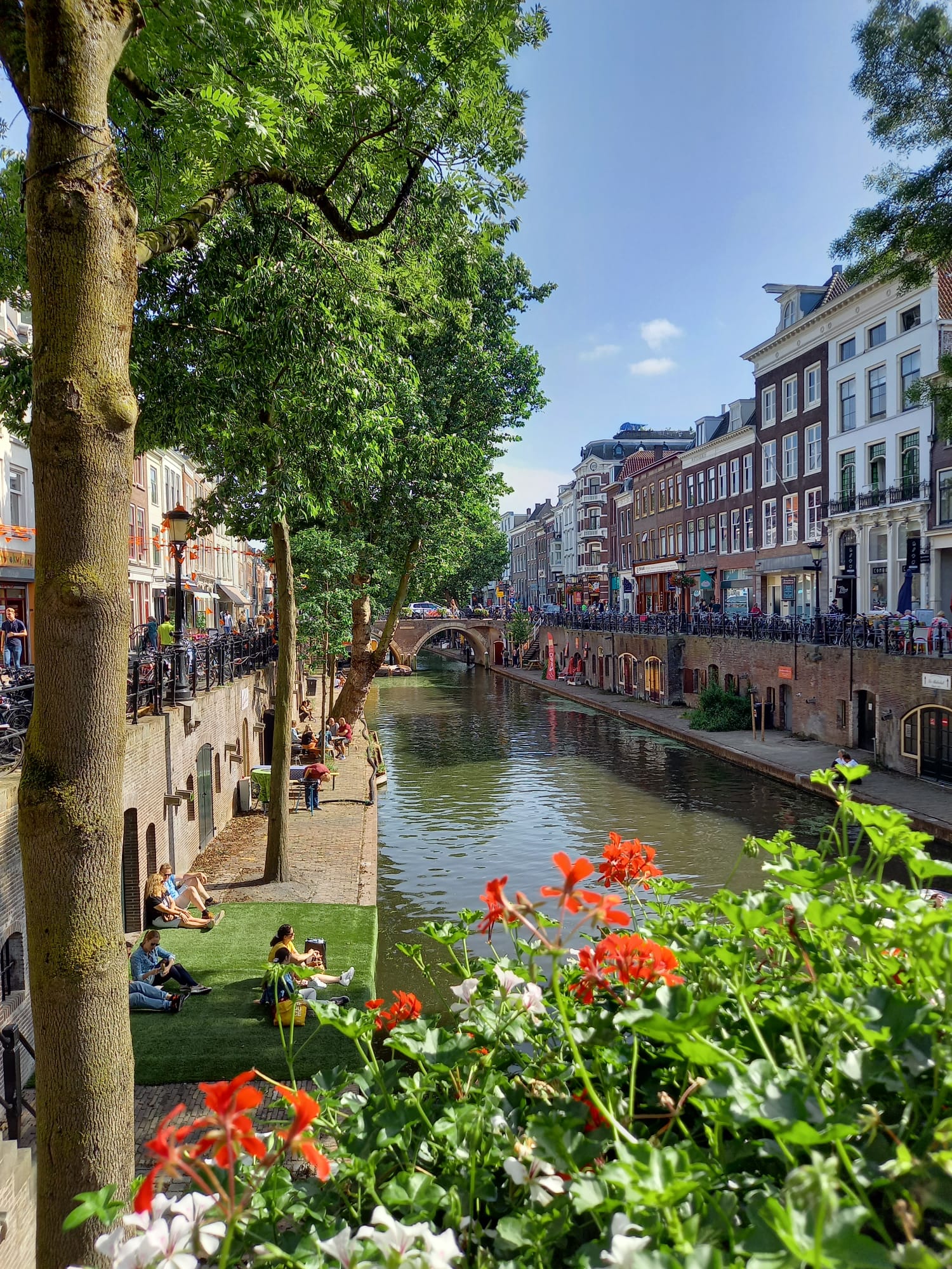 393404181_1785211228584511_8966210699859897407_n