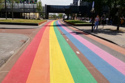 Biserka Drbohlav: Razglednica iz Nizozemske: (B&nbsp;strana)