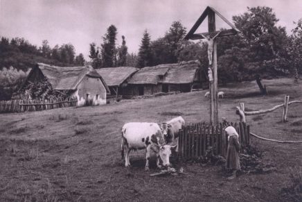 Miroslav Kirin: Kuća koja se sama&nbsp;pokopala