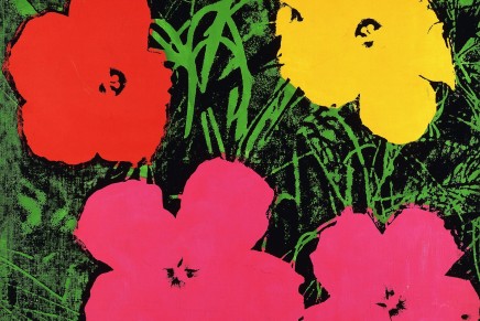 BELA HAMVAŠ: Psihologija branja cvijeća