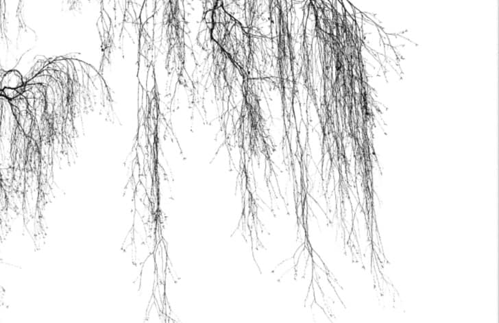 398539706_7070890809640657_2899332983954958667_n