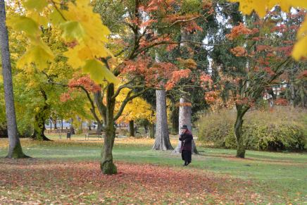 Božica Jelušić: STUBIŠTE NASUTO&nbsp;LIŠĆEM