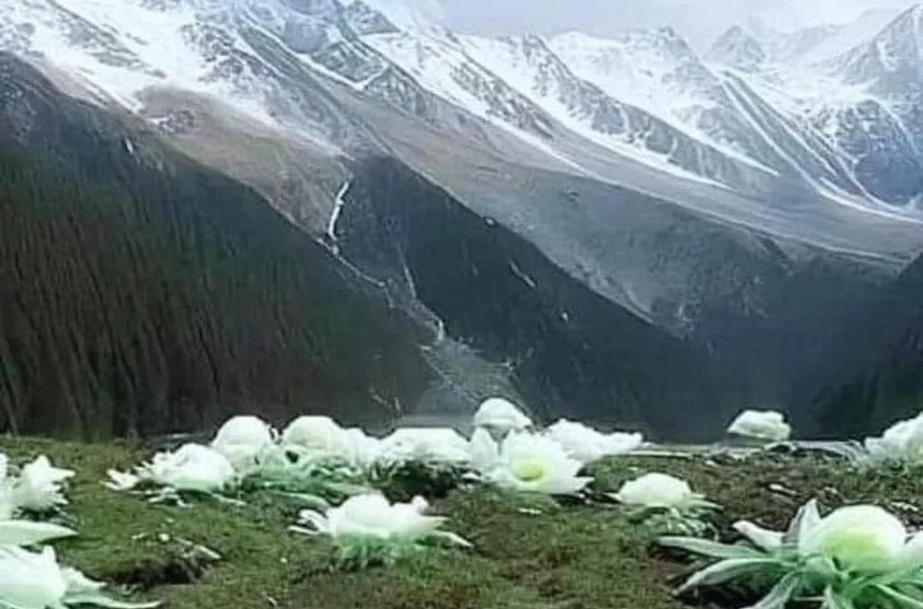 404446600_10220012579383484_621115702412956695_n