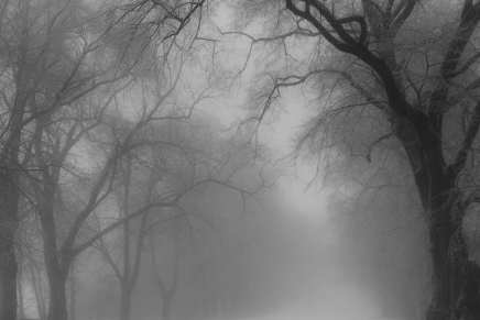 Hermann Hesse: Magla