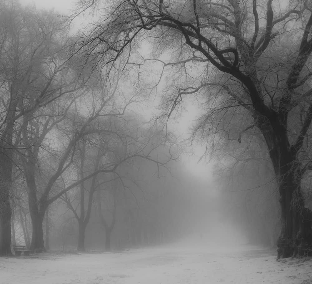 405764649_7124981007564970_8588861016169924435_n