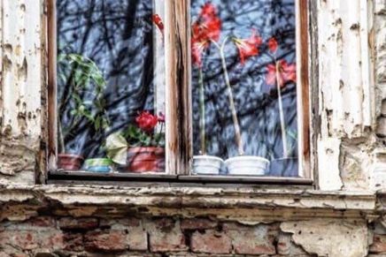 Marijan Grakalić: Zovi samo&nbsp;zovi