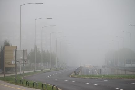 Drago Britvić: TE SAVSKE&nbsp;MAGLE