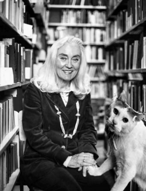 319851368_822522875715276_4281447542167535758_n