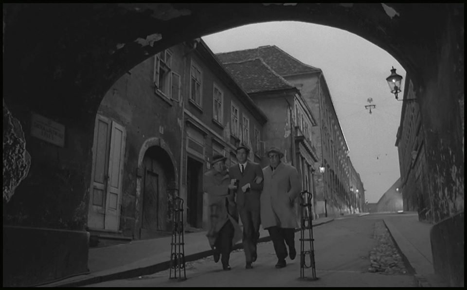 363368676_241894068765656_8011547642134929186_n