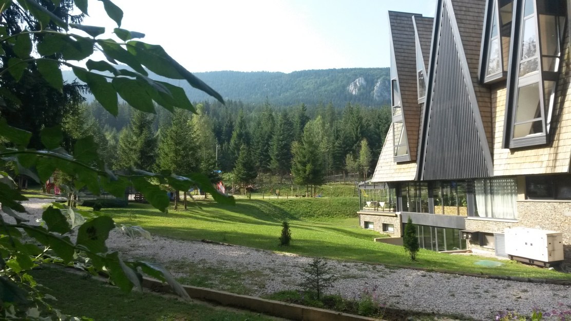 411001233_10225181144579532_4888988930429688690_n