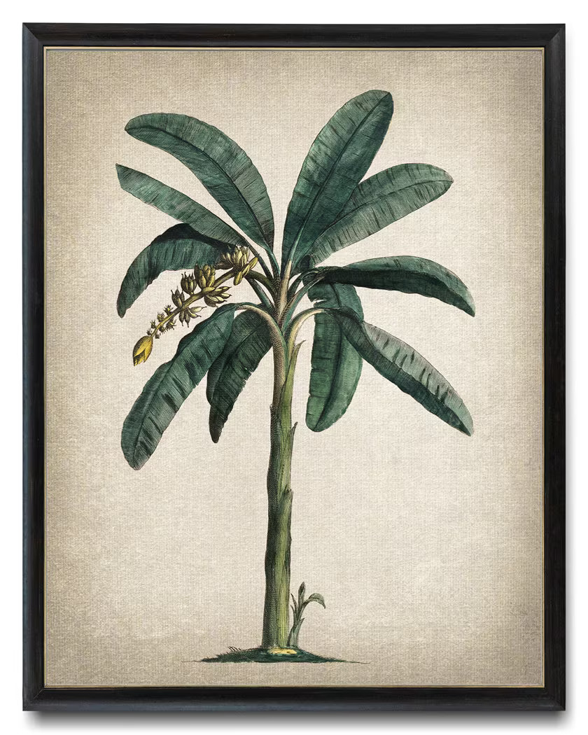 il_fullxfull.5313103148_bjv5