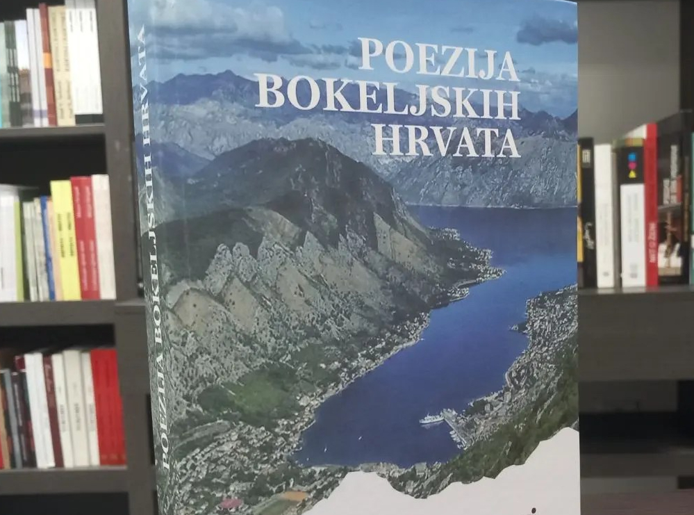 IMG-ddfdcf7f846e23bf8ef1a44d7c4a5af5-V