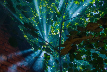 Božica Jelušić: PROLAŽENJE&nbsp;VREMENA