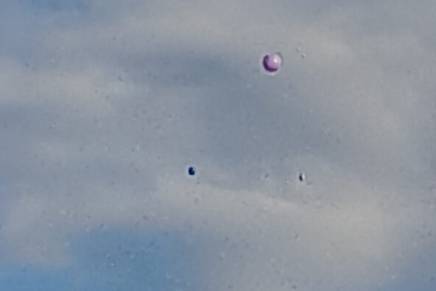 Romana Brolih: Olgin&nbsp;osjećaj