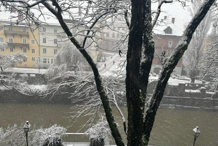 Božica Jelušić: KAVANA U&nbsp;LJUBLJANI