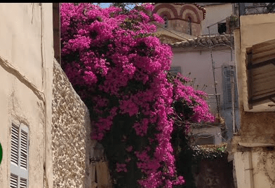 d7590c638af14a9a2f861682ee78e7f6