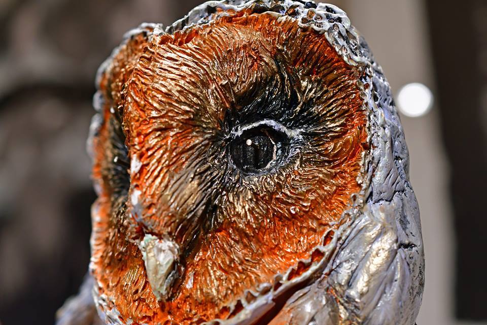 sasa_montiljo_foto_niksa_lalin_3