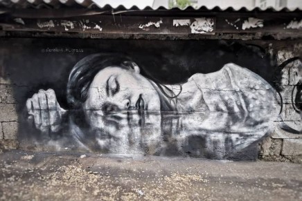 Dubravka Ugrešić, LISICA (ulomci) 