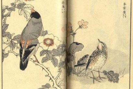 Nataša Skazlić: VRIJEME JE ZA POMOR&nbsp;PTICA