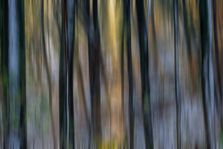 430597737_10220367397893725_2662994370131313524_n