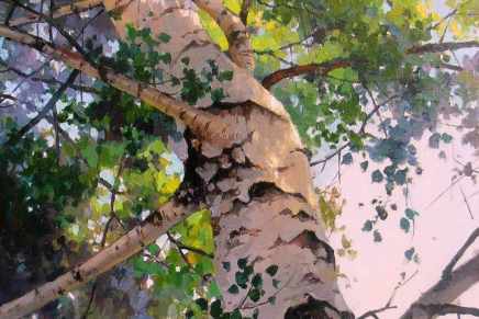 Davor Šalat: NE BRZAJ S&nbsp;BREZOM