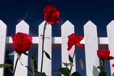 ONIRIČKO ISTRAŽIVANJE KAOSA – David Lynch i halucinogeni filmski&nbsp;svijet