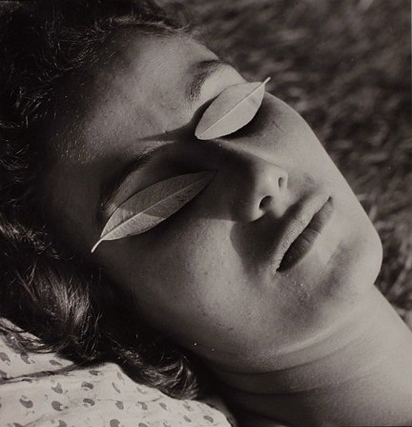 379120828_18043999129515097_7284035981058526172_n